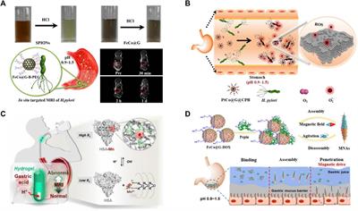 Metal Graphitic Nanocapsules for Theranostics in Harsh Conditions